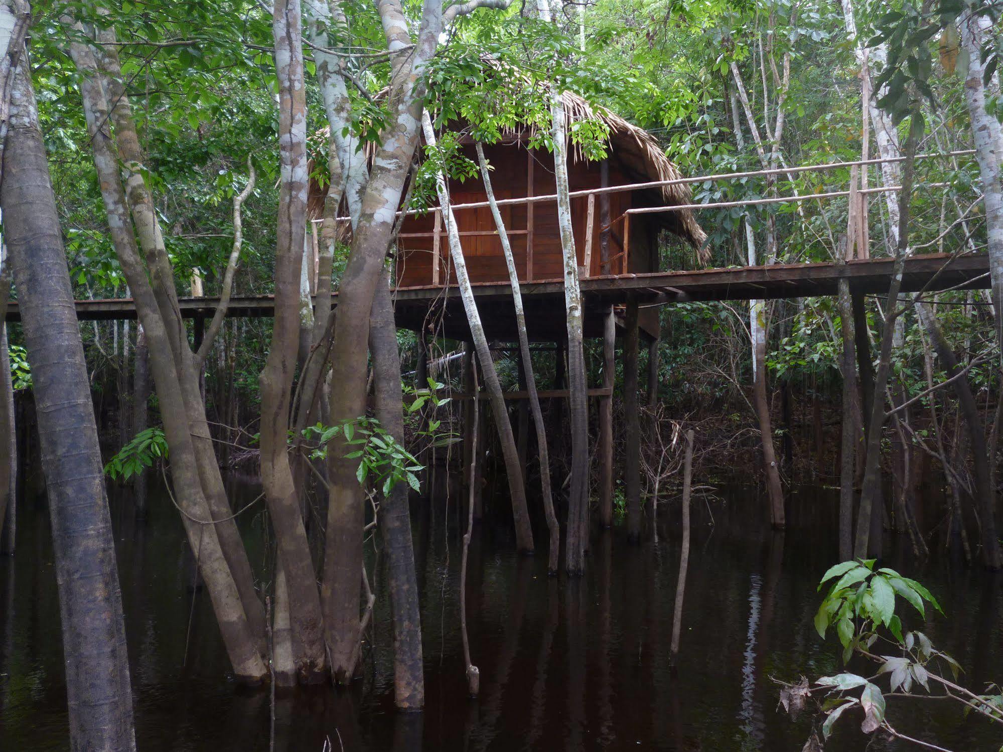 Dolphin Lodge Careiro Luaran gambar