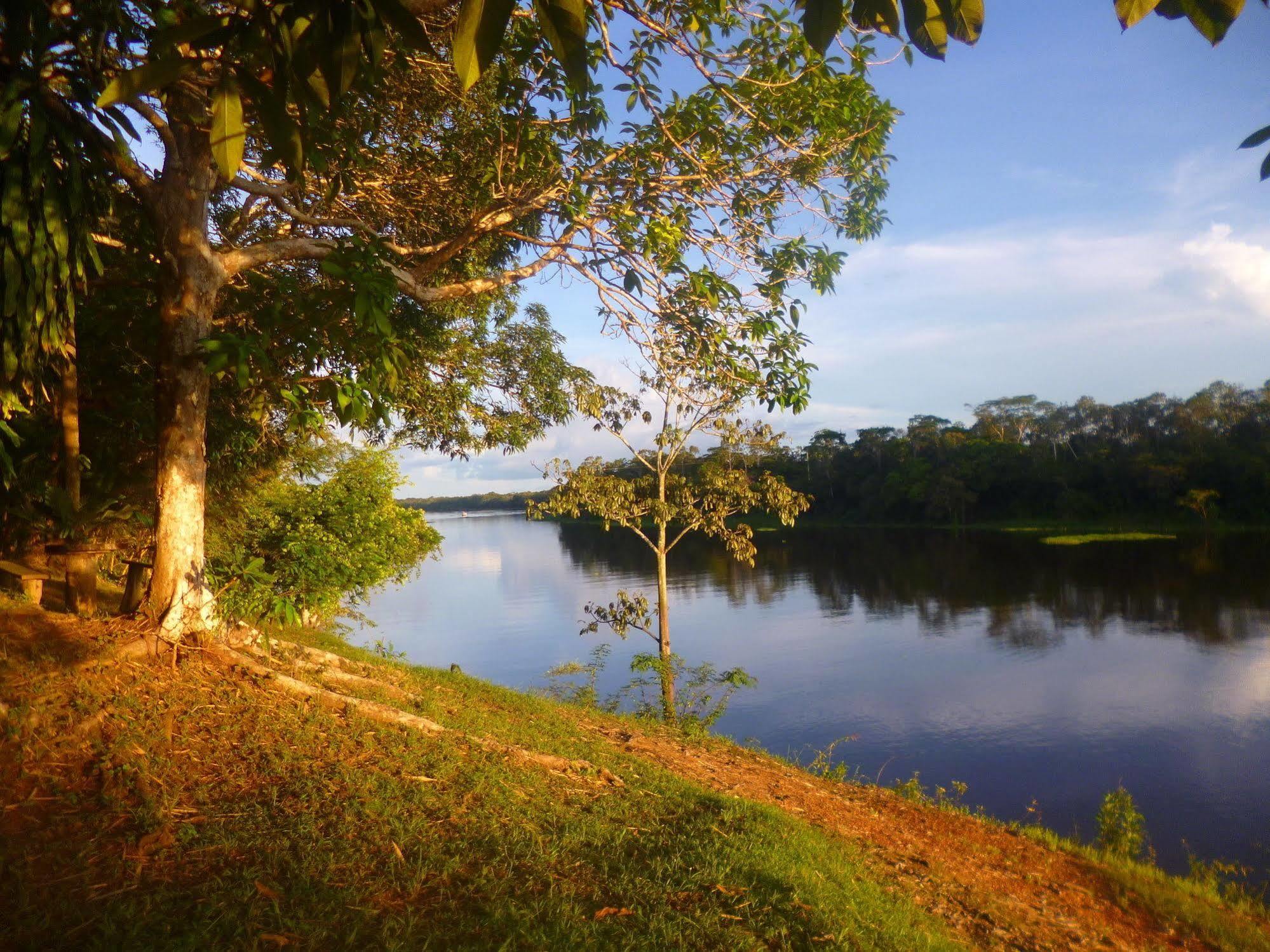 Dolphin Lodge Careiro Luaran gambar